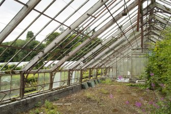General view of easternmost section of greenhouse from the east, Walled Garden, Housedale, Dunecht House.
