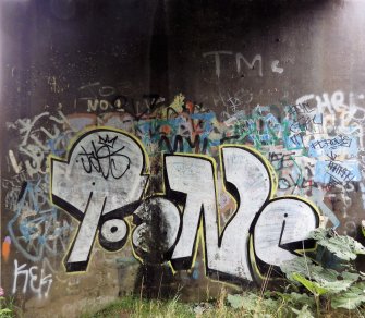 A view of some of the graffiti on the concrete abutments of the footbridge.