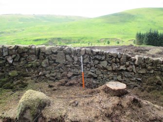 North facing wall on west side of site 183 - from N