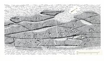 Publication drawing; cup and ring marked rock, Cairnbaan 1.