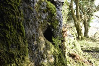 Detail of basin near mouth of cave