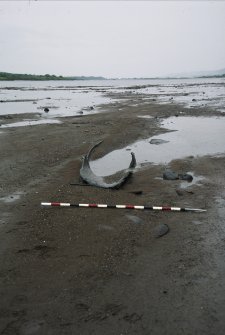 Pre-excavation photograph, Carpow Log Boat, Carpow Bank, Exposed vessel. From SW.