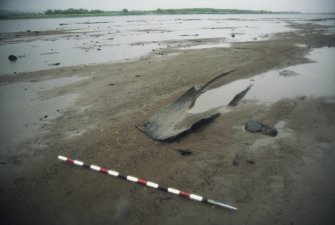 Pre-excavation photograph, Carpow Log Boat, Carpow Bank, Exposed vessel. From NW.