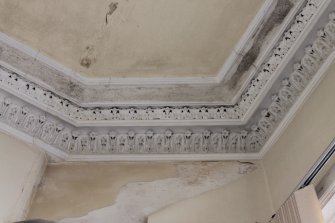 Historic building recording, Room 0/2, Detail of cornice from SE, Lutton Court, Edinburgh