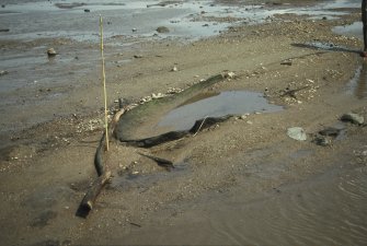 Evaluation trenching photograph, Carpow Log Boat, Carpow Bank, Bow. From SW