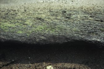 Evaluation trenching photograph, Carpow Log Boat, Carpow Bank, Exposed vessel detail. From N