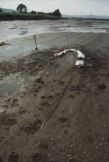 Evaluation trenching photograph, Carpow Log Boat, Carpow Bank, Sandbagged vessel detail. From NE