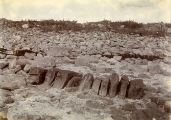 Possible photograph of White Gate Broch. Photograph in album of Caithness Brochs, at end of White Gate Broch series.