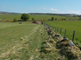 Archaeological evaluation, View from shed location along access track to entrance, The Arns, Bridge of Allan