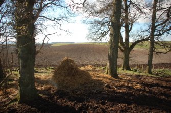 Archaeological Evaluation photograph, Lower Gauls Barrow, Location shot