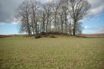 Archaeological Evaluation photograph, Lower Gauls Barrow, Location shot