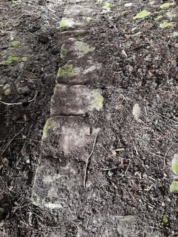 View of edge of cobbling in byre.