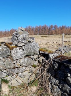 View from S of the junction of the E corner of the long narrow building standing on the N side of the farmstead and a later stone dyke. 