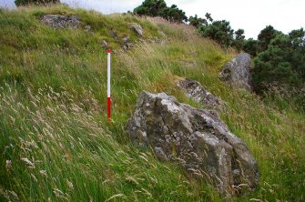 Excavation, Trench C, Quarry from SW, Blasthill Chambered Tomb, 2009