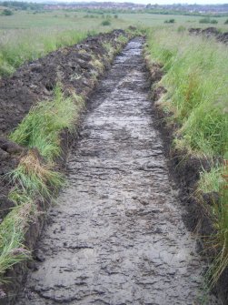 Archaeological evaluation, View of trench 4 showing ditch cut [005] from W, Darnley Mains