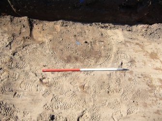 Archaeological evaluation, Trench 12, unexcavated posthole/pit [1] (2) from N, Seton Sands, East Lothian