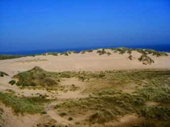 Walkover survey, View towards the fore-dunes, N of Flint scatter 1 (Site 29), Trump International Golf Links