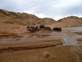 Site visits, View towards location of Flint Scatter 1, Trump International Golf Links