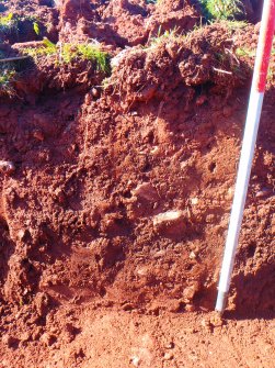 Archaeological evaluation, Section edge of trench 1 showing mixed subsoil consisting of redeposited topsoil and natural, Black Castle Farm, East Lothian