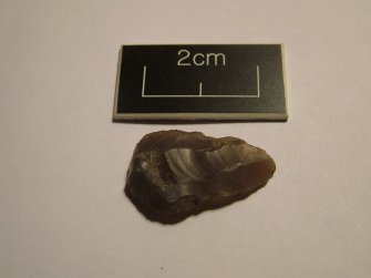 Tunnel Excavation, Sample from Site, Scottish Seabird Centre, North Berwick