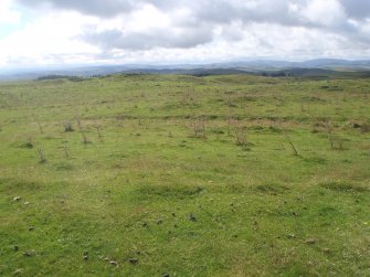 Cultural heritage assessment, Site 52, Langhope Rig Windfarm Grid Connect, near Hawick