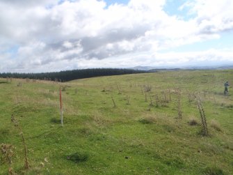 Cultural heritage assessment, Site 52 detail, Langhope Rig Windfarm Grid Connect, near Hawick