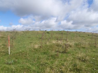 Cultural heritage assessment, Site 52, Langhope Rig Windfarm Grid Connect, near Hawick