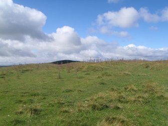 Cultural heritage assessment, Site 52, general shot, Langhope Rig Windfarm Grid Connect, near Hawick