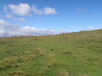 Cultural heritage assessment, Site 52, general shot, Langhope Rig Windfarm Grid Connect, near Hawick