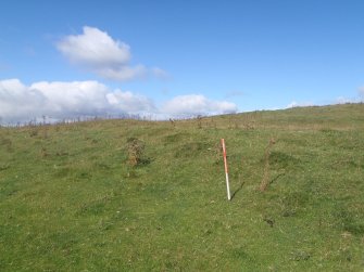 Cultural heritage assessment, Site 52, Langhope Rig Windfarm Grid Connect, near Hawick