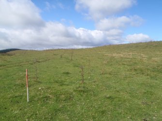 Cultural heritage assessment, Site 52, Langhope Rig Windfarm Grid Connect, near Hawick