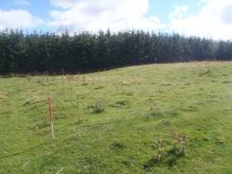 Cultural heritage assessment, Site 52, Langhope Rig Windfarm Grid Connect, near Hawick