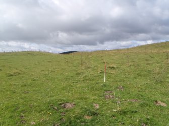 Cultural heritage assessment, Site 52.6, Langhope Rig Windfarm Grid Connect, near Hawick