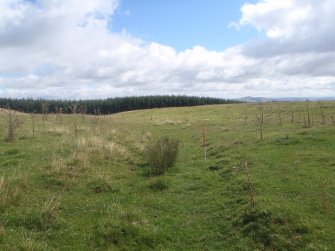 Cultural heritage assessment, Track way cutting through 52.1 from W to E, Langhope Rig Windfarm Grid Connect, near Hawick