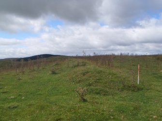 Cultural heritage assessment, Feature (bank) likely associated wiht 52.1 located to the SW of 52.1, Langhope Rig Windfarm Grid Connect, near Hawick