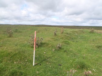 Cultural heritage assessment, Share wall between 52.2 and 52.3, Langhope Rig Windfarm Grid Connect, near Hawick