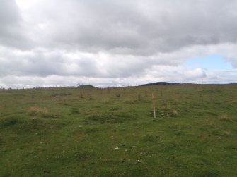 Cultural heritage assessment, Site 52.3, Langhope Rig Windfarm Grid Connect, near Hawick