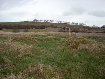 Field survey of modified route D2, Site 219, River Doon buildings (Building A), South West Scotland Renewables Project