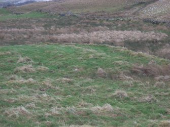 Field survey of modified route D2, Site 219, River Doon (Possible enclosure), South West Scotland Renewables Project