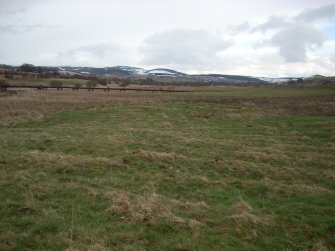 Field survey of modified route D2, Site 219, River Doon Rig, South West Scotland Renewables Project