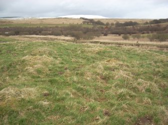 Field survey of modified route D2, Site 219, River Doon Rig, South West Scotland Renewables Project