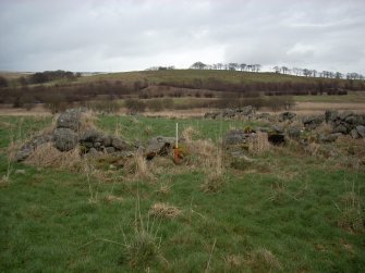 Field survey of modified route D2, Site 219, River Doon enclosure, South West Scotland Renewables Project