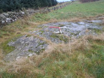 Cultural heritage assessment, Site 1, Scheduled cup and ring marked rock, Blackshaw Community Windfarm