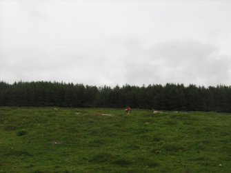 Field survey of planting areas and receptors, SM5477 site 24, looking E towards PDA, from W, Glen App Wind Farm, South of Ballantrae, South Ayrsh