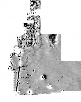 Processed magnetometry image for Area 1