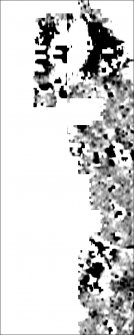 Processed magnetometry image for Area 3