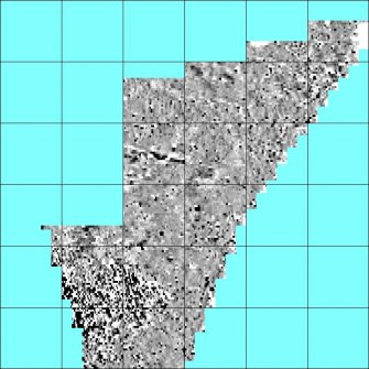 Processed magnetometry image for Area 4 with grids overlaid for georectification