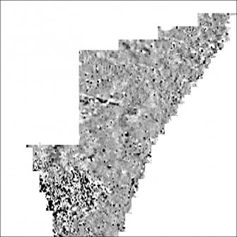 Processed magnetometry image for Area 4