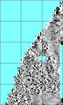 Processed magnetometry image for Area5 with grids overlaid for georectification