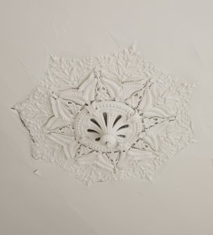 Detail of ceiling rose in South Room on ground floor of No 19 Belhaven Terrace West, Glasgow.